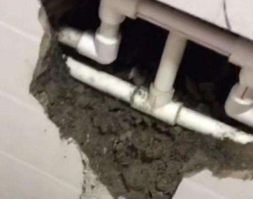 定结卫生间漏水哪家好